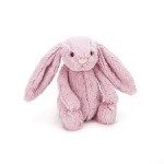 Mini Bunny Gift Hamper 